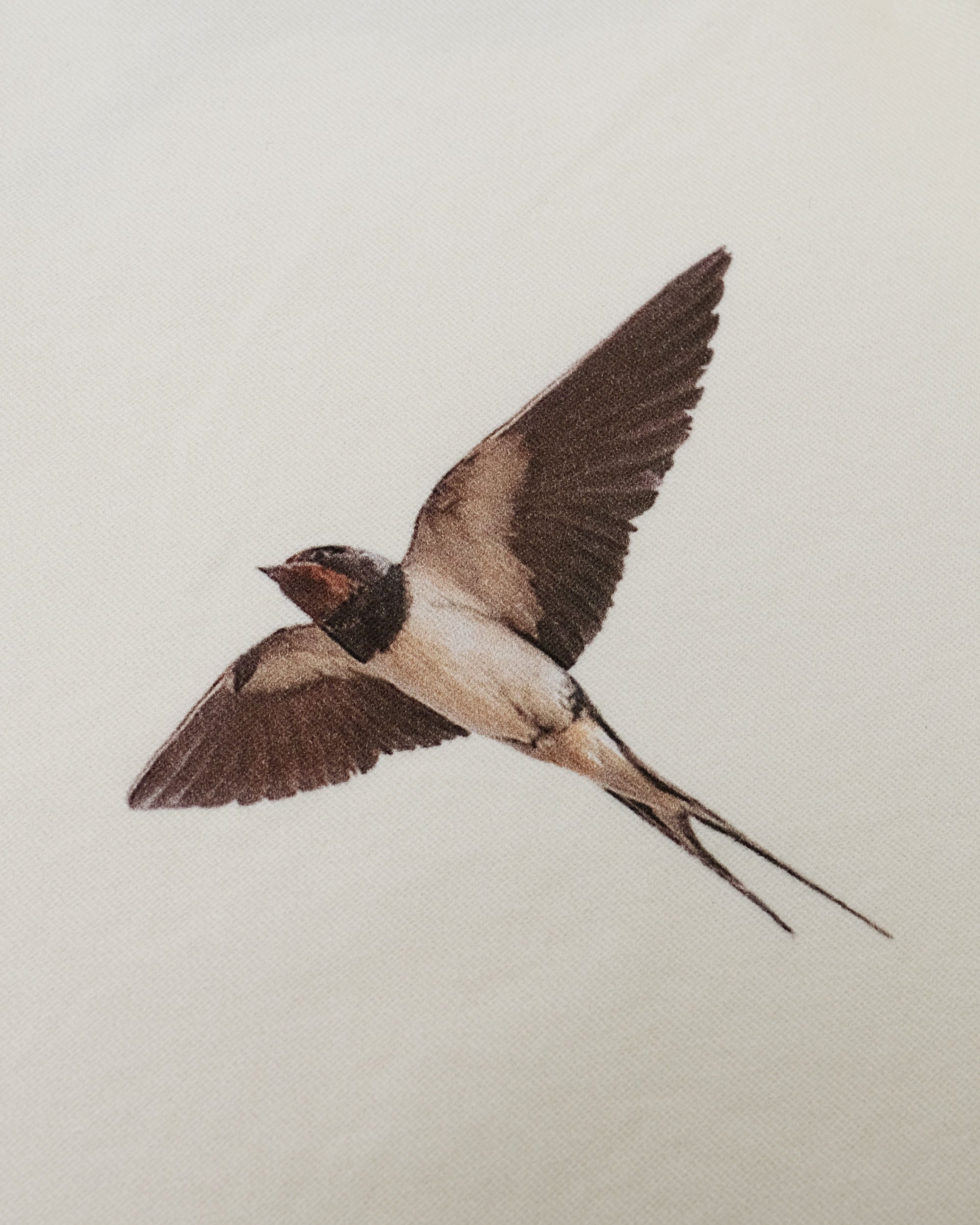 Windmill Chore Jacket