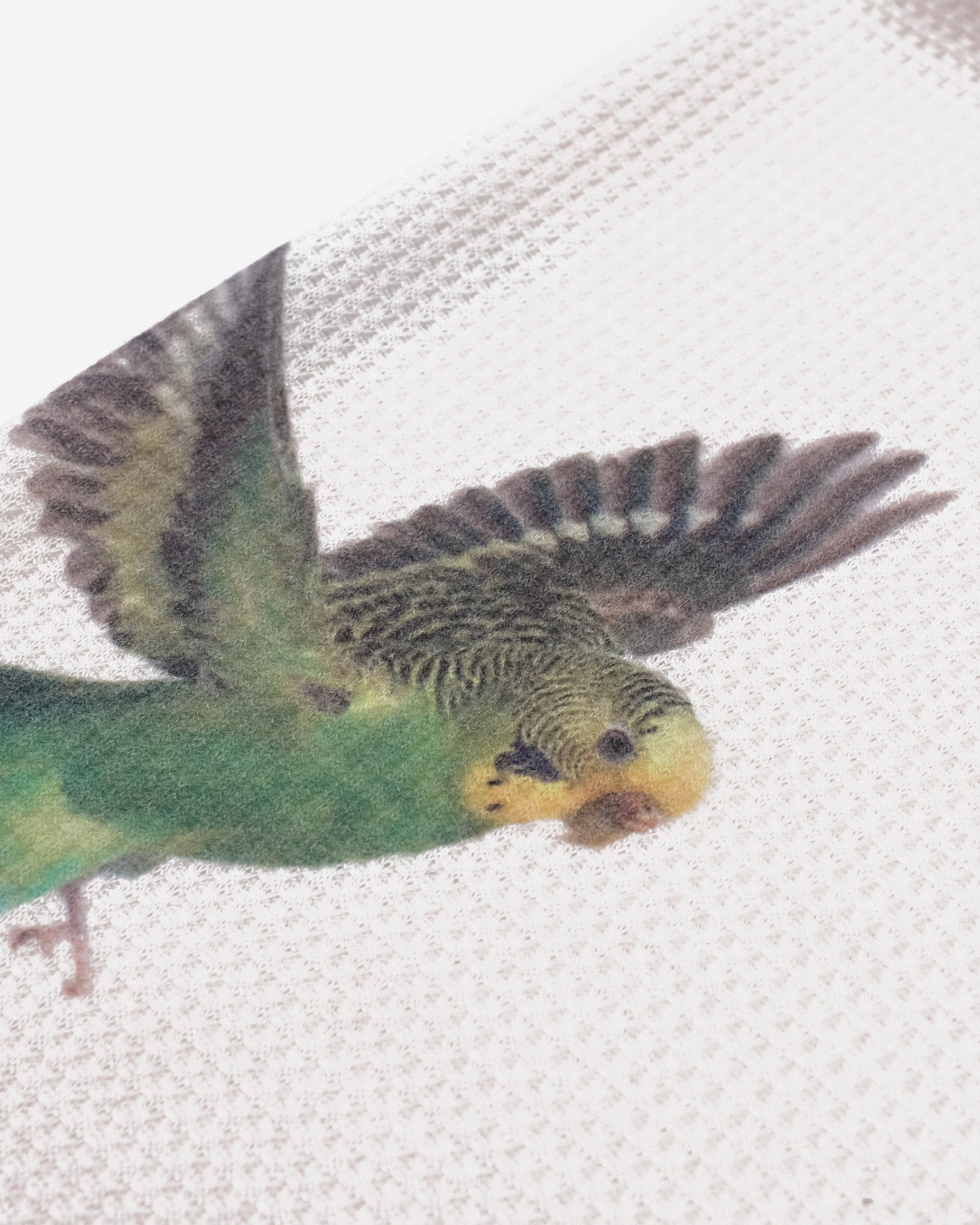 Tremonton Layered T-shirt