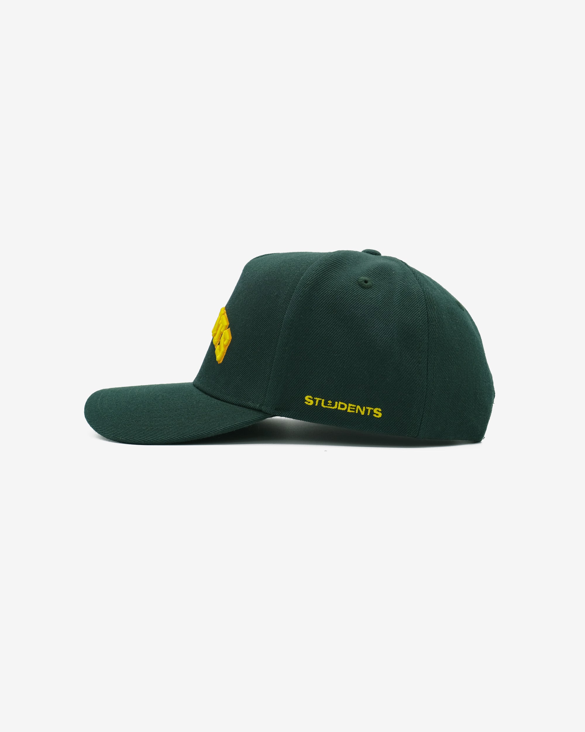 Expert Snap Back Hat